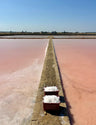 FIOR DI SALE - ANTICA SALINA